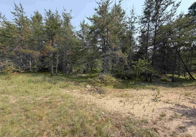 Homes for sale in Au Train, MI | Tbd Liberty St, Au Train, MI 49806 | MLS# 50213567