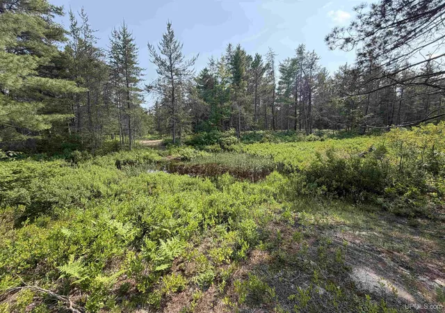 Homes for sale in Au Train, MI | Tbd Liberty St, Au Train, MI 49806 | MLS# 50213567