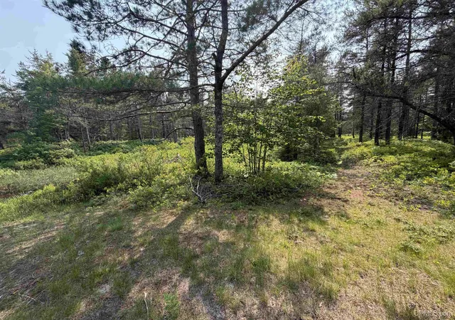 Homes for sale in Au Train, MI | Tbd Liberty St, Au Train, MI 49806 | MLS# 50213567