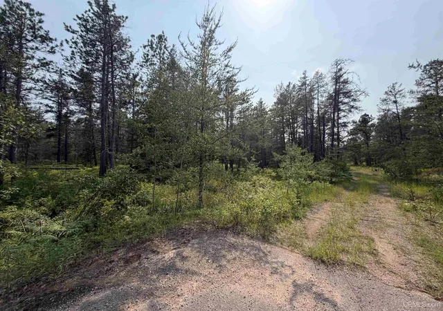 Homes for sale in Au Train, MI | Tbd Liberty St, Au Train, MI 49806 | MLS# 50213567
