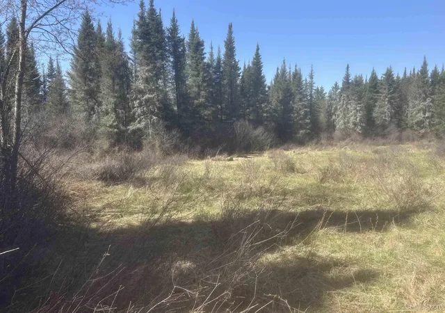 Photo 2 of Land for sale at Tbd Goodhall Rd, Iron River, MI 49935 | MLS# 50208240 | Listing updated on 2026-05-22