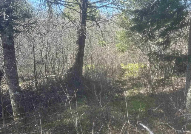 Photo 3 of Land for sale at Tbd Goodhall Rd, Iron River, MI 49935 | MLS# 50208240 | Listing updated on 2026-05-22