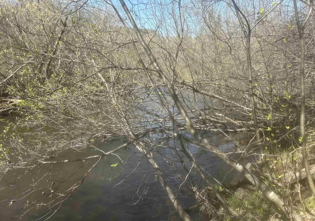 Photo 4 of Land for sale at Tbd Goodhall Rd, Iron River, MI 49935 | MLS# 50208240 | Listing updated on 2026-05-22