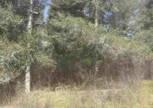 Photo 5 of Land for sale at Tbd Goodhall Rd, Iron River, MI 49935 | MLS# 50208240 | Listing updated on 2026-05-22