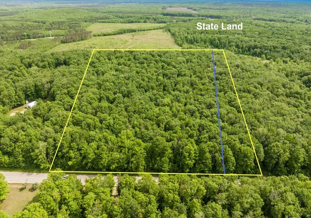 Homes for sale in Mancelona, MI | Tbd Mancelona Rd, Mancelona, MI 49659 | MLS# 80069934