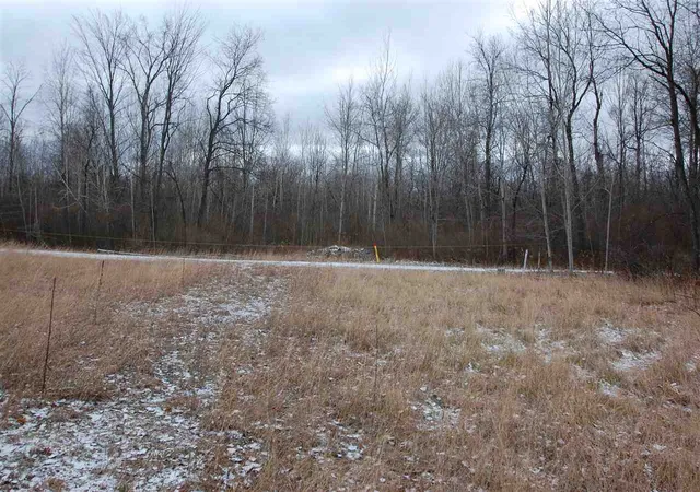 Homes for sale in West Branch, MI | 0 S First St, West Branch, MI 48661 | MLS# 80056180