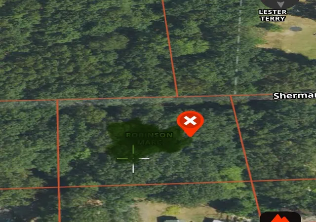 Homes for sale in Fountain, MI | Vl Sherman Rd, Fountain, MI 49410 | MLS# 70520993