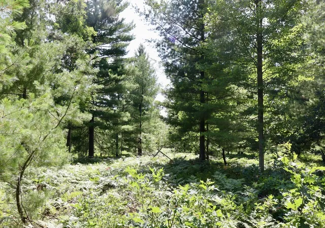 Photo 2 of Land for sale at 395 E Ac Greenwood Rd, Prescott, MI 48756 | MLS# 70548414 | Listing updated on 2026-09-05