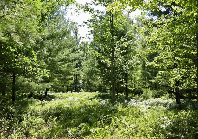 Photo 3 of Land for sale at 395 E Ac Greenwood Rd, Prescott, MI 48756 | MLS# 70548414 | Listing updated on 2026-09-05