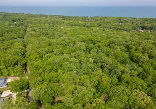 3rd image of 0 Red Arrow Hwy, Lakeside, MI 49116 | MLS# 70539498
