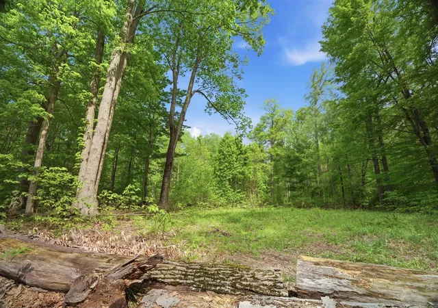 5th image of 0 Red Arrow Hwy, Lakeside, MI 49116 | MLS# 70539498