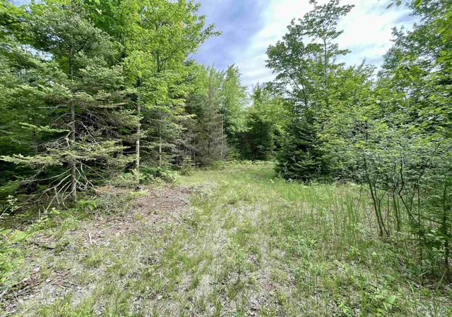 Homes for sale in Bark River, MI | Tbd 9th Ln, Bark River, MI 49807 | MLS# 50212272