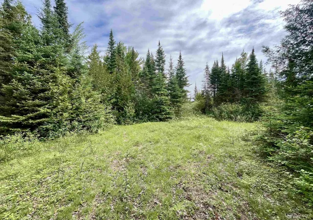 Homes for sale in Bark River, MI | Tbd 9th Ln, Bark River, MI 49807 | MLS# 50212272
