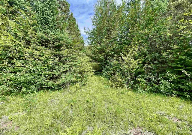 Homes for sale in Bark River, MI | Tbd 9th Ln, Bark River, MI 49807 | MLS# 50212272