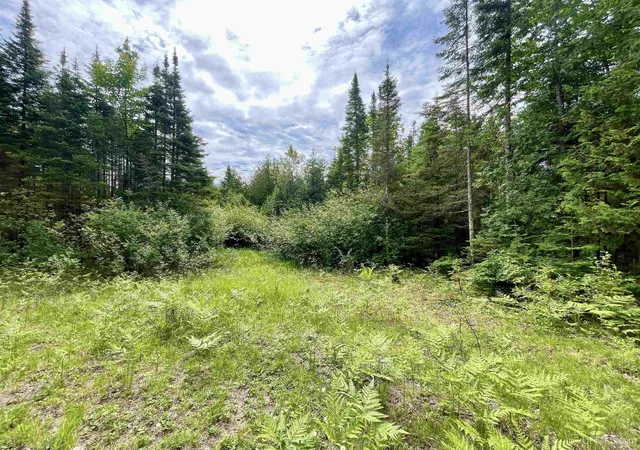 Homes for sale in Bark River, MI | Tbd 9Th Ln, Bark River, MI 49807 | MLS# 50212272