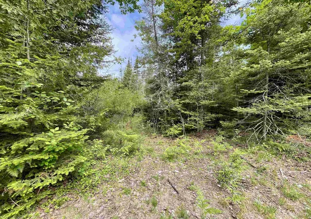 Homes for sale in Bark River, MI | Tbd 9Th Ln, Bark River, MI 49807 | MLS# 50212272
