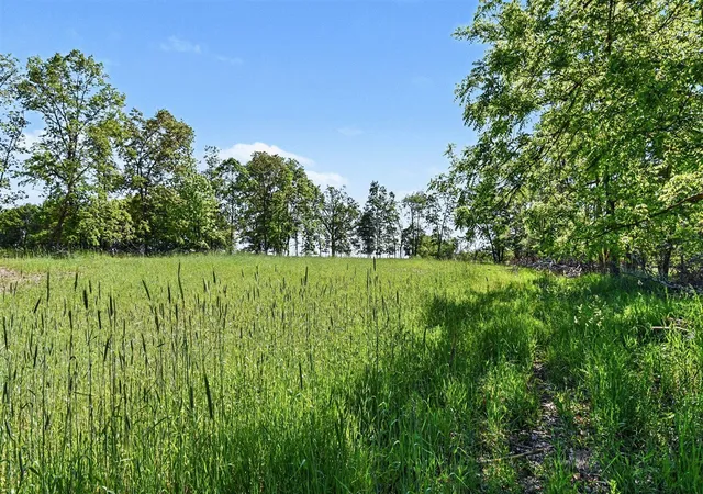 1st image of 0 E Charles Rd, Ionia, MI 48846 | MLS# 70537226