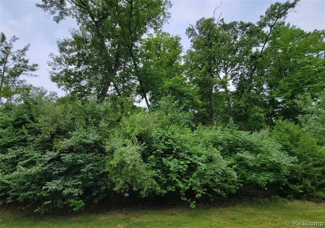Photo 1 of Land for sale at Lot 53   Pinemont, Brighton, MI 48116 | MLS# 20682090 | Listing updated on 2026-03-27