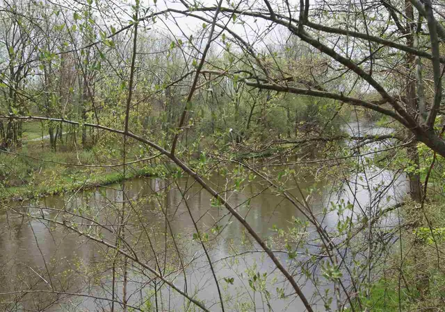 Photo 3 of Land for sale at Lot 5 Whitetail Trl, Mount Pleasant, MI 48858 | MLS# 70102559 | Listing updated on 2026-04-27