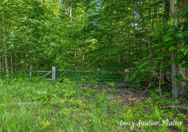 Homes for sale in Mc Bain, MI | W Finkle Rd, Mc Bain, MI 49657 | MLS# 70540307