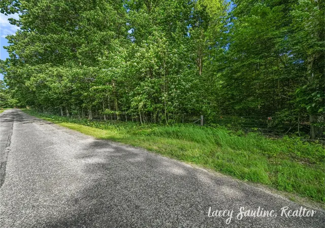 Homes for sale in Mc Bain, MI | W Finkle Rd, Mc Bain, MI 49657 | MLS# 70540307