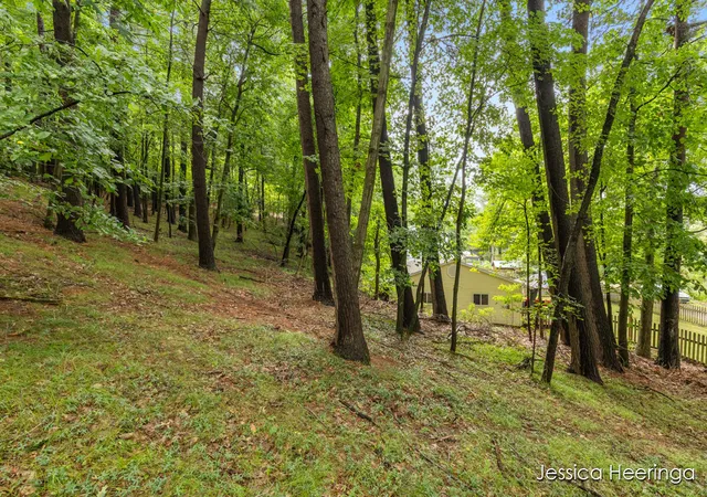 4th image of 13900 Weeks Dr, Greenville, MI 48838 | MLS# 70553879