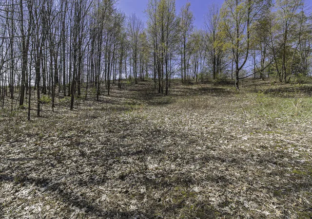 Photo 3 of Land for sale at Lot 16 Campbell Lake Dr, Parma, MI 49269 | MLS# 70529127 | Listing updated on 2026-08-18