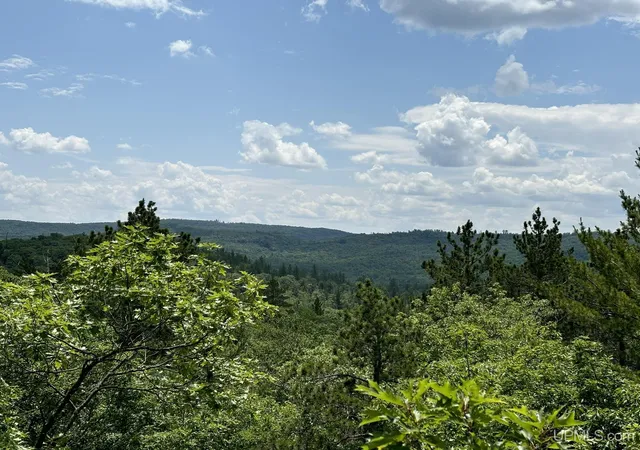 1st image of On Bushy Cr Truck Trail Rd, Marquette, MI 49855 | MLS# 50180391