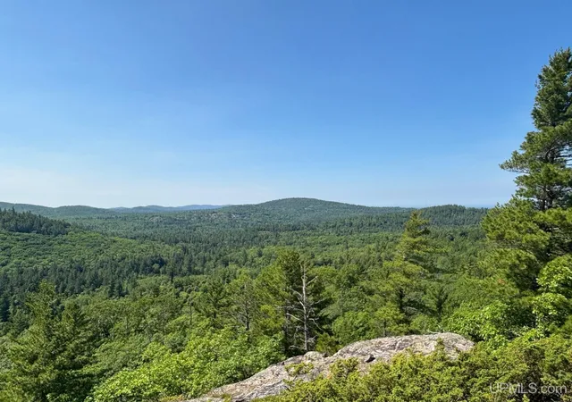 27th image of On Bushy Cr Truck Trail Rd, Marquette, MI 49855 | MLS# 50180391