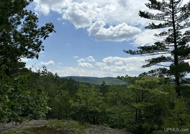 2nd image of On Bushy Cr Truck Trail Rd, Marquette, MI 49855 | MLS# 50180391
