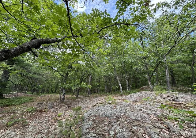 Photo 3 of Land for sale at On Bushy Cr Truck Trl Rd, Marquette, MI 49855 | MLS# 50180391 | Listing updated on 2025-07-16