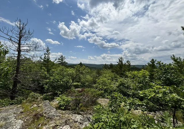 Photo 4 of Land for sale at On Bushy Cr Truck Trl Rd, Marquette, MI 49855 | MLS# 50180391 | Listing updated on 2025-07-16