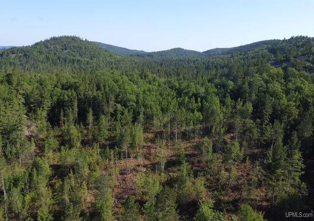 Photo 5 of Land for sale at On Bushy Cr Truck Trl Rd, Marquette, MI 49855 | MLS# 50180391 | Listing updated on 2025-07-16