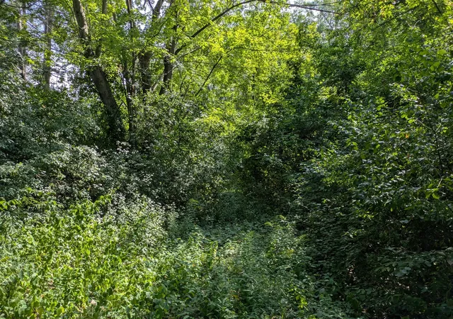 Photo 1 of Land for sale at Holland Rd, Taylor, MI 48180 | MLS# 70553874 | Listing updated on 2026-08-27