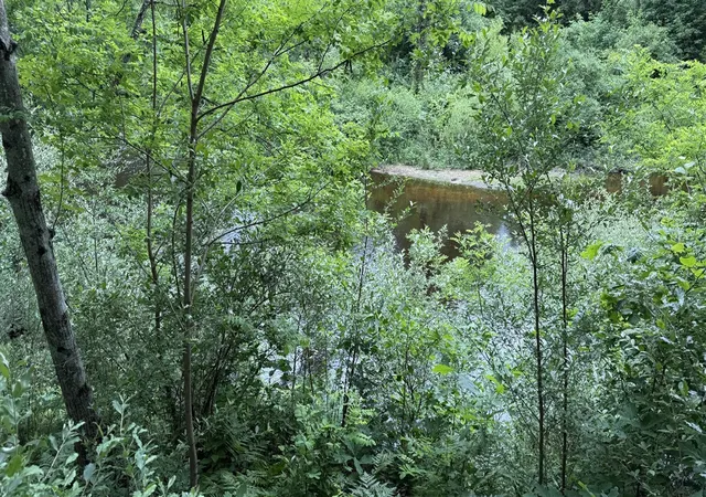 Photo 5 of Land for sale at S Woods Rd, Branch, MI 49402 | MLS# 70539508 | Listing updated on 2026-07-28