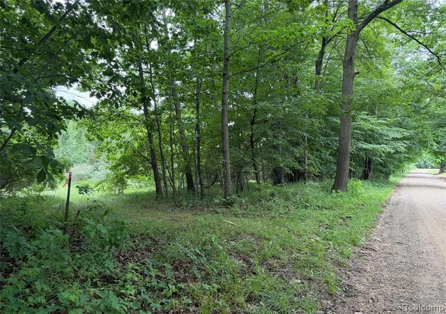 1st image of 0 Stanton Lake Rd, Attica, MI 48412 | MLS# 61010745