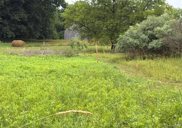 22nd image of 0 Stanton Lake Rd, Attica, MI 48412 | MLS# 61010745