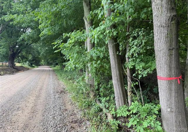 2nd image of 0 Stanton Lake Rd, Attica, MI 48412 | MLS# 61010745
