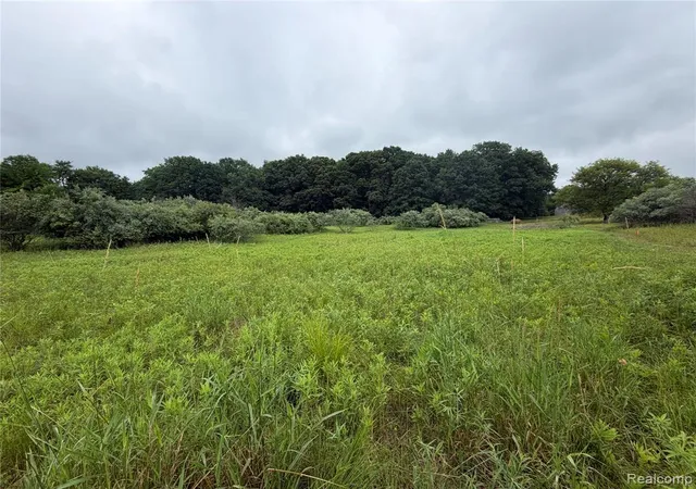 5th image of 0 Stanton Lake Rd, Attica, MI 48412 | MLS# 61010745
