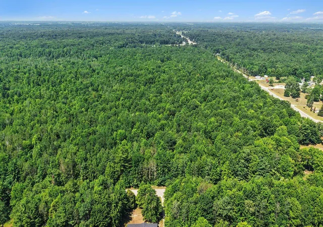 Photo 3 of Land for sale at Tbd E Pickard Rd, Mount Pleasant, MI 48858 | MLS# 80071561 | Listing updated on 2026-07-30