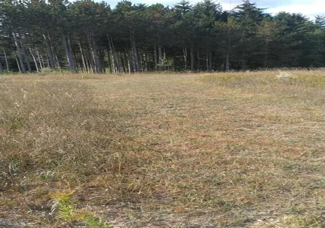 Photo 3 of Land for sale at Vl Tyler Hills Dr, Traverse City, MI 49685 | MLS# 70457506 | Listing updated on 2026-01-28