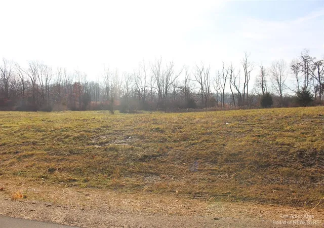 Photo 1 of Land for sale at 0 Lindsey Unit 23 Rd, Jackson, MI 49201 | MLS# 70379294 | Listing updated on 2026-01-26