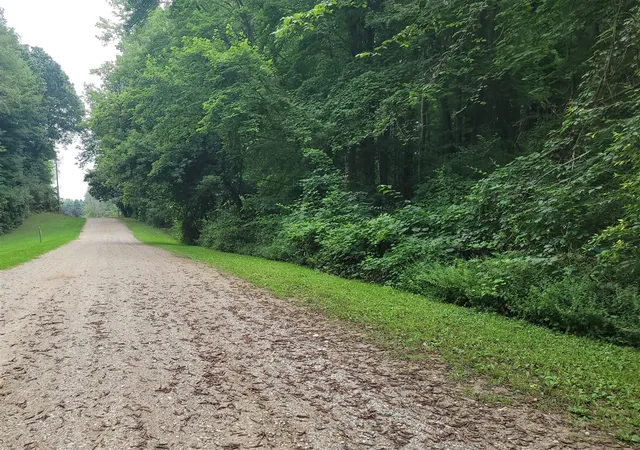 Photo 1 of Land for sale at 8925 Vestal Dr, Saranac, MI 48881 | MLS# 70551935 | Listing updated on 2026-08-13