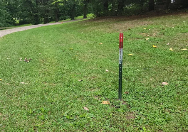 Photo 4 of Land for sale at 8925 Vestal Dr, Saranac, MI 48881 | MLS# 70551935 | Listing updated on 2026-08-13