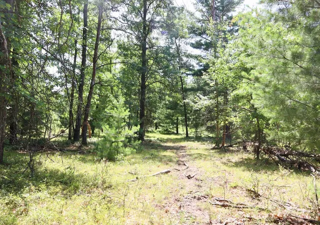 Photo 4 of Land for sale at 003 E Greenwood Rd, Prescott, MI 48756 | MLS# 70548373 | Listing updated on 2026-09-05