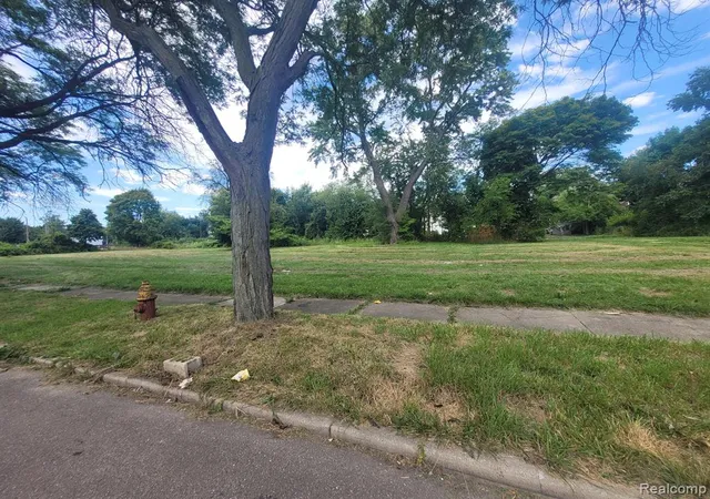 Photo 3 of Land for sale at 3254 Canton St, Detroit, MI 48207 | MLS# 60331327 | Listing updated on 2026-08-04