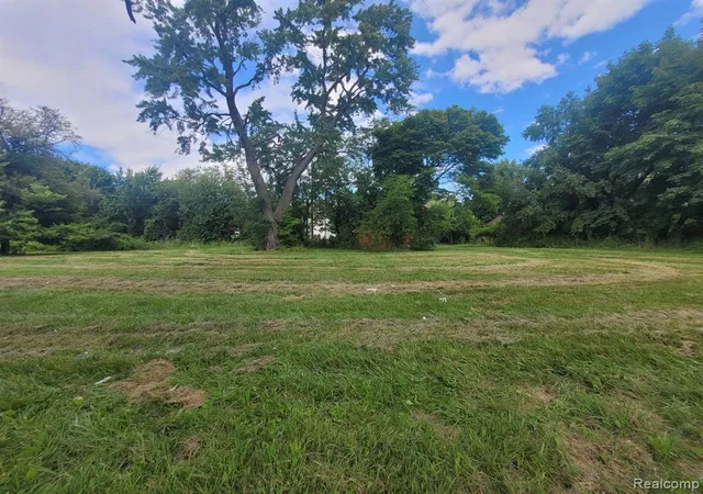 Photo 4 of Land for sale at 3254 Canton St, Detroit, MI 48207 | MLS# 60331327 | Listing updated on 2026-08-04