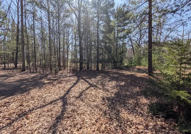5th image of 5764 W Bryant Rd, Ludington, MI 49431 | MLS# 70523427