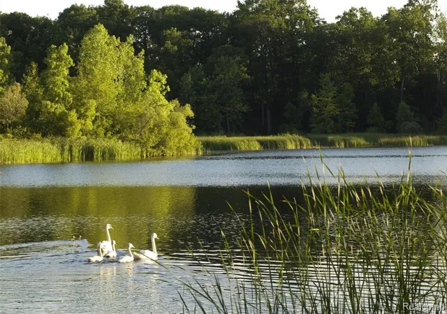Photo 3 of Sale Pending at 2670 Turtle Lake Dr, Bloomfield Hills, MI 48302 | MLS# 40211083 | Listing updated on 2025-06-30