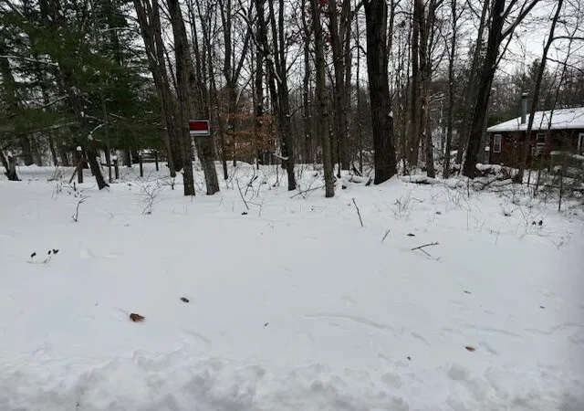 Photo 1 of Sale Pending at 9861 E School Section Lake Dr, Mecosta, MI 49332 | MLS# 70506927 | Listing updated on 2025-12-22